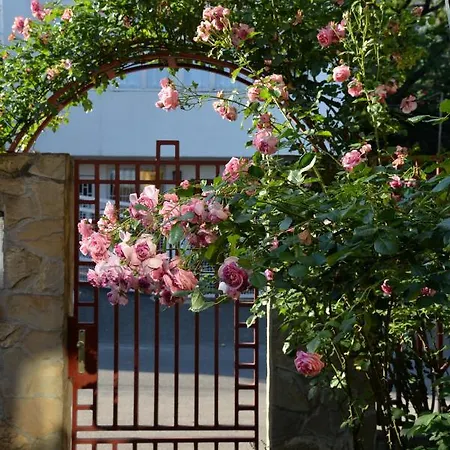 Bellevue With Ac & Heating & Terrace شقة