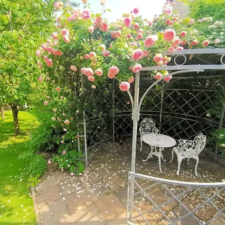 Bellevue With Ac & Heating & Terrace *