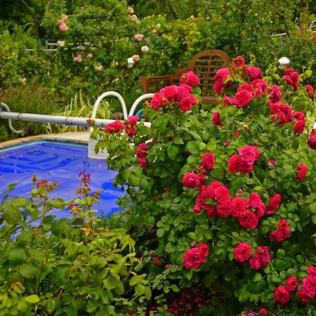 Bellevue With Ac & Heating & Terrace *